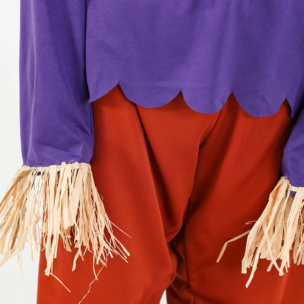 Halloween Kostuum Vogelverschrikker Jongens Paarse Top Broek