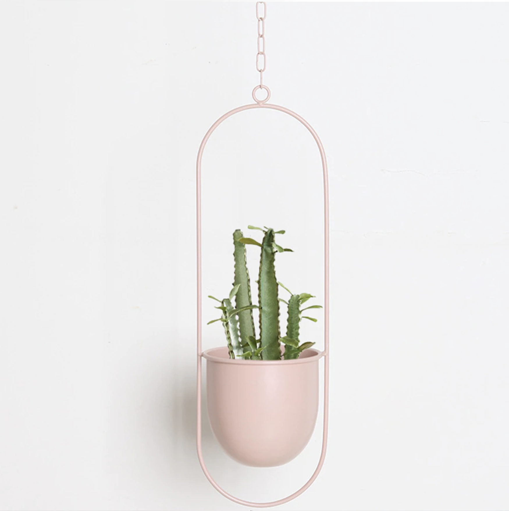 FloraFrame – Elegante metalen plantenhouder voor muur of plafond
