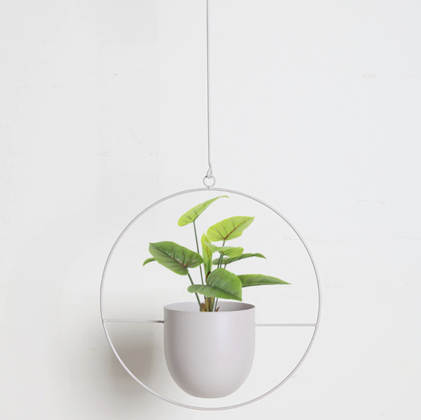 FloraFrame – Elegante metalen plantenhouder voor muur of plafond