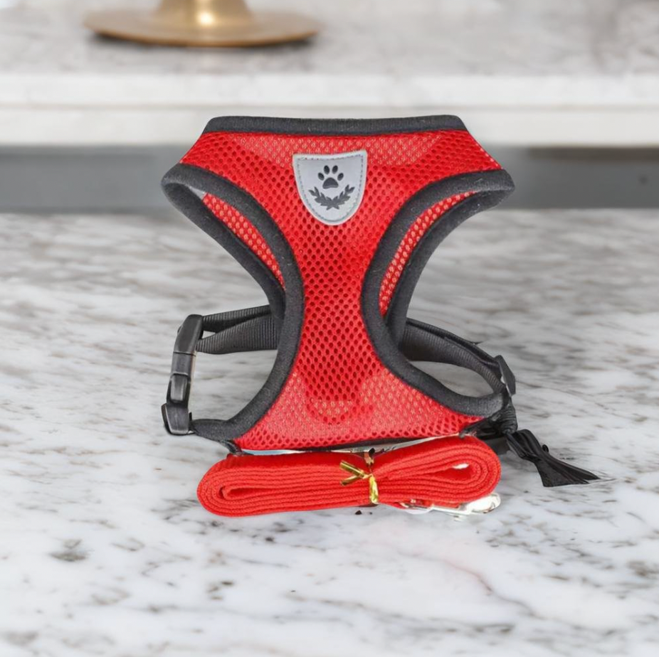 Comfortabele Kat Harnas en Leash Set, Verstelbaar Ademend Ontwerp voor Veilige Buitenavonturen – Beste Kat Harnas voor Kittens en Katten