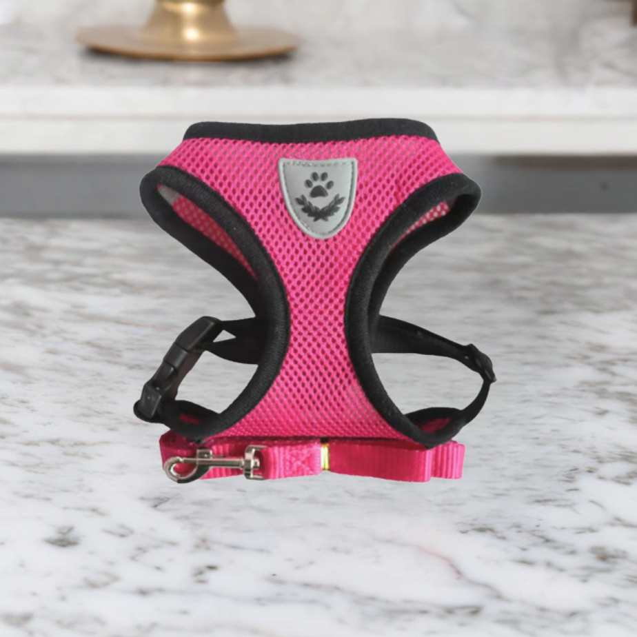 Comfortabele Kat Harnas en Leash Set, Verstelbaar Ademend Ontwerp voor Veilige Buitenavonturen – Beste Kat Harnas voor Kittens en Katten