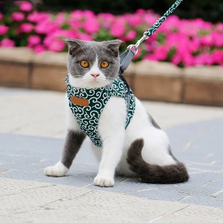 Stijlvol Kattenharnas met Bijpassende Leash - Comfortabel en Gemakkelijk te Dragen, Verstelbare Pasvorm voor Katten en Kittens