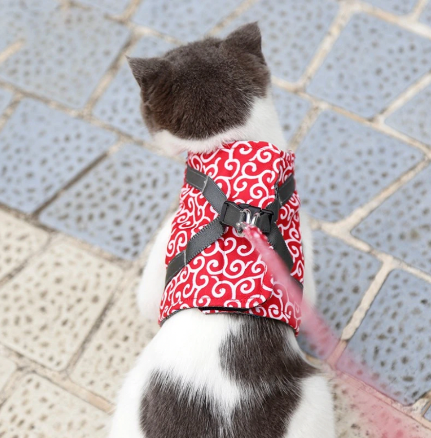 Stijlvol Kattenharnas met Bijpassende Leash - Comfortabel en Gemakkelijk te Dragen, Verstelbare Pasvorm voor Katten en Kittens