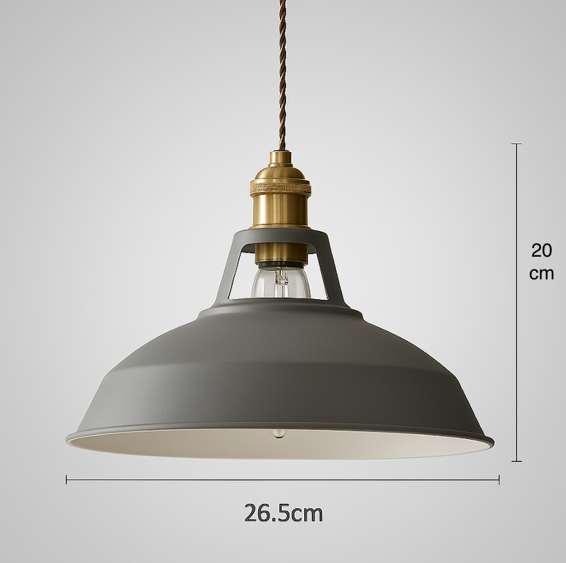 Industriële kleurrijke metalen dompendel LED 1-licht