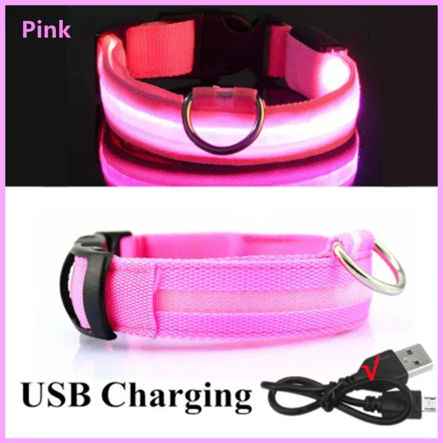 LUXPETS GlowSafe LED Hondenhalsband | Verlicht & Oplaadbaar | Verstelbaar & Waterdicht | Anti-Verlies in de Nacht