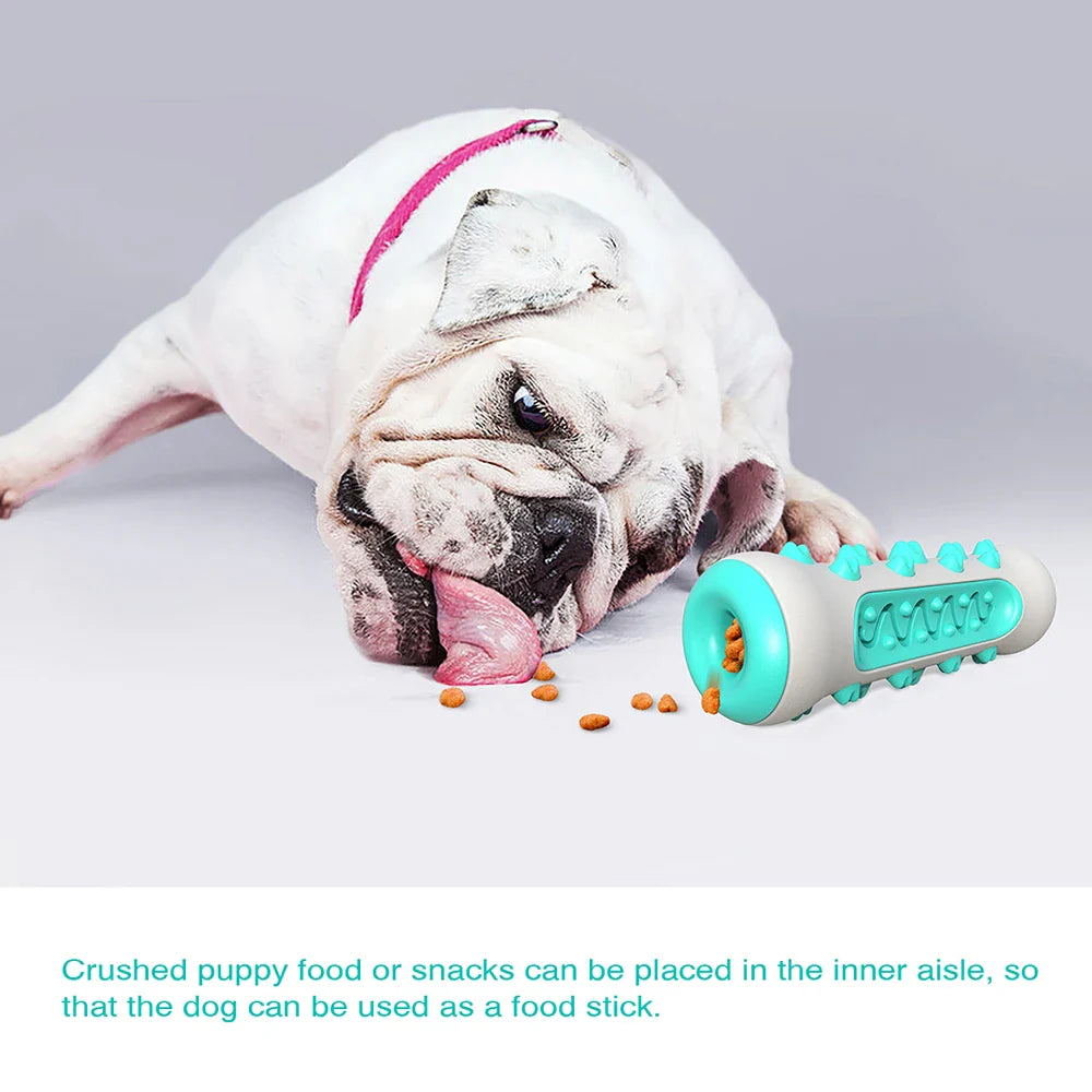ChewCare Pro Hondenpoetsborstel-Kauwspeeltje | Interactieve Kauwtak voor middelgrote & grote honden | Tandreiniging & Stressvermindering