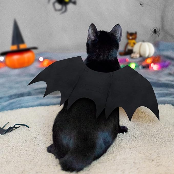 Spooky Halloween Huisdieren Vleermuis Vleugels