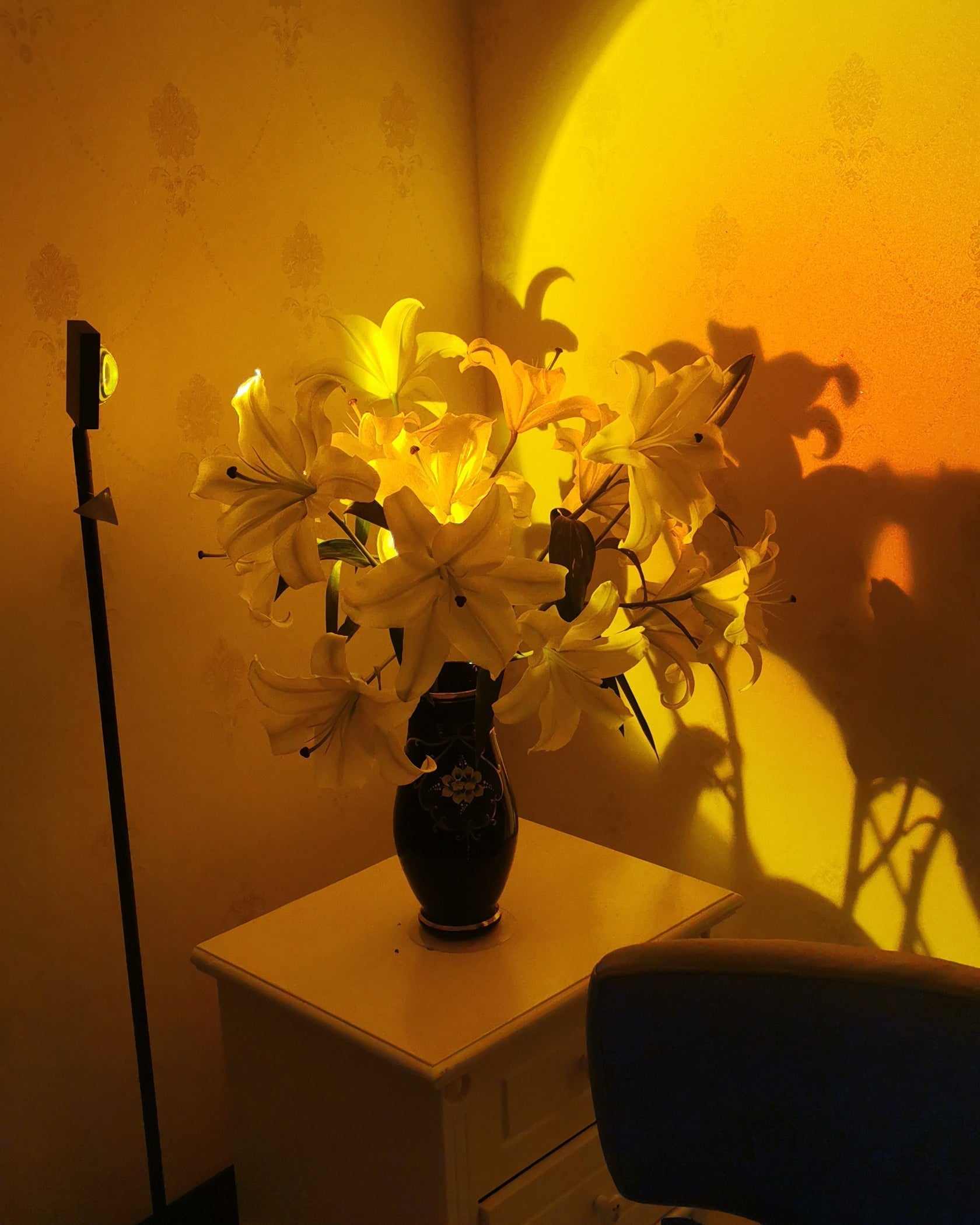 Frendorf | LED Kleurenprojector Vloerlamp | Minimalistisch Halo Licht Effect