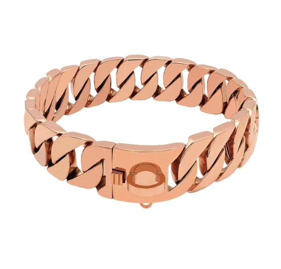 KrachtHals Metalen Hondenhalsband – Robuuste RVS Halsband voor Grote Honden
