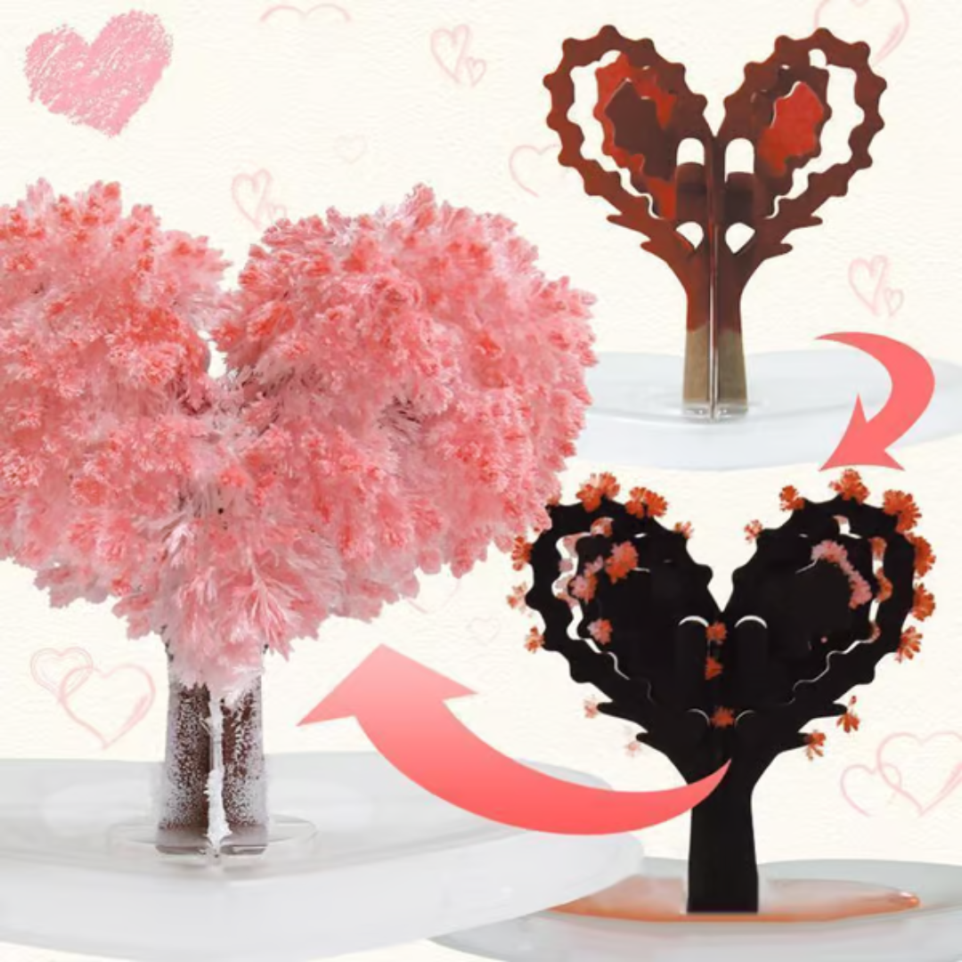 MagicGrow Kerstboom | Zie de magie van Kerstmis ontvouwen