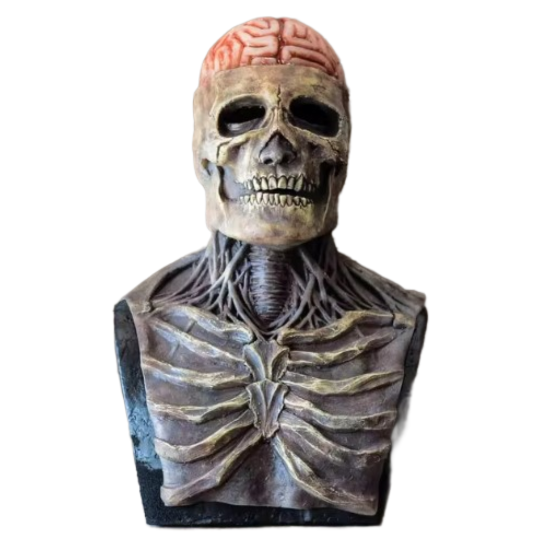 FancySkull kostuum | Jaag iedereen de stuipen op het lijf!