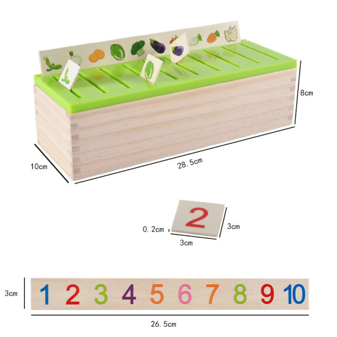 Montessori Houten Doos voor Sorteren Leren