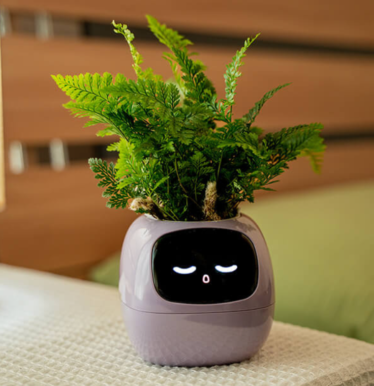 EmojiPlant | Creatieve Emoji Bloempot