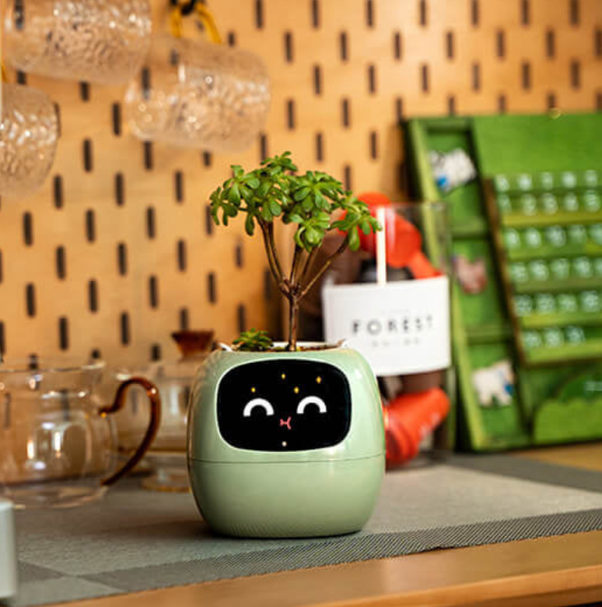 EmojiPlant | Creatieve Emoji Bloempot