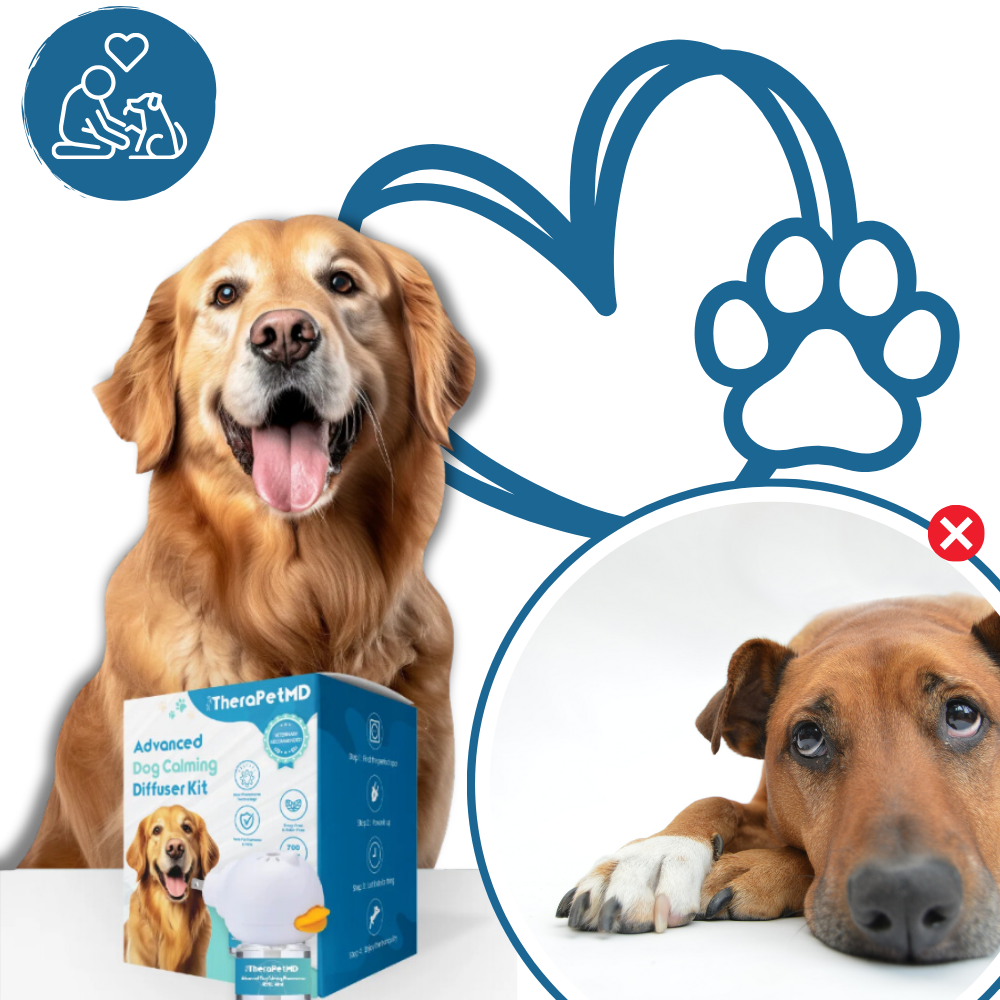 Angstverlichting voor Huisdieren