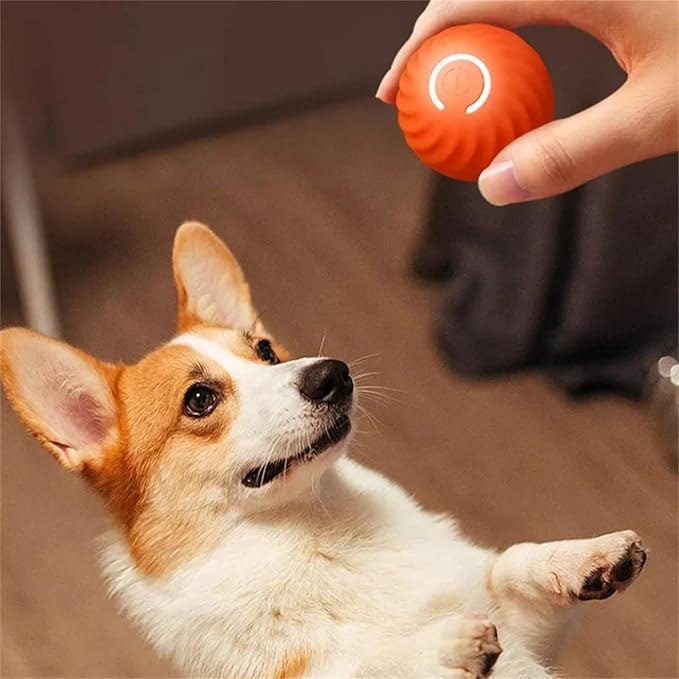 Interactieve Hondbal - Auto-Rollend - Leuk Spel