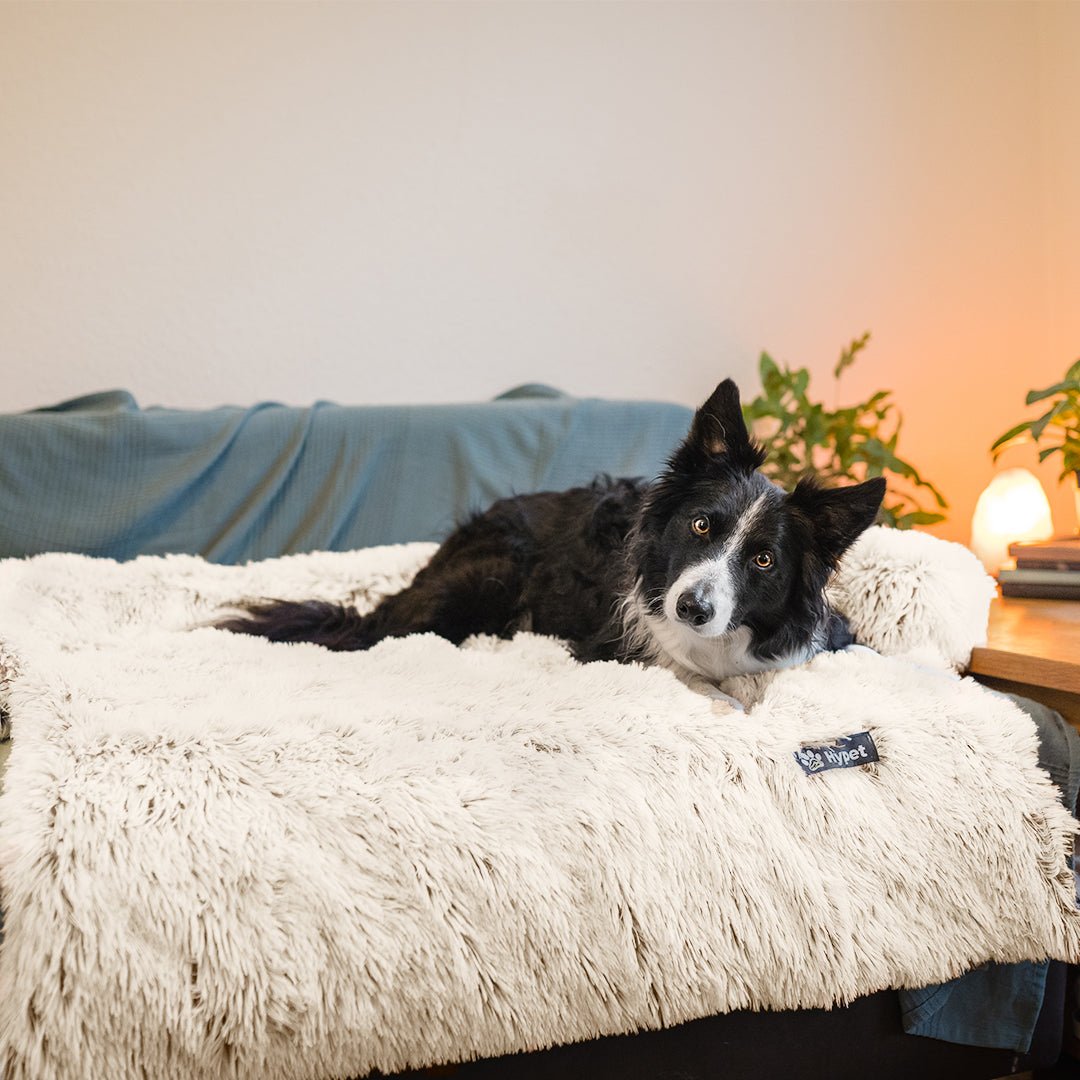 PawsyPillow | Wasbaar, warm en waterdicht herfstkussen voor je hond