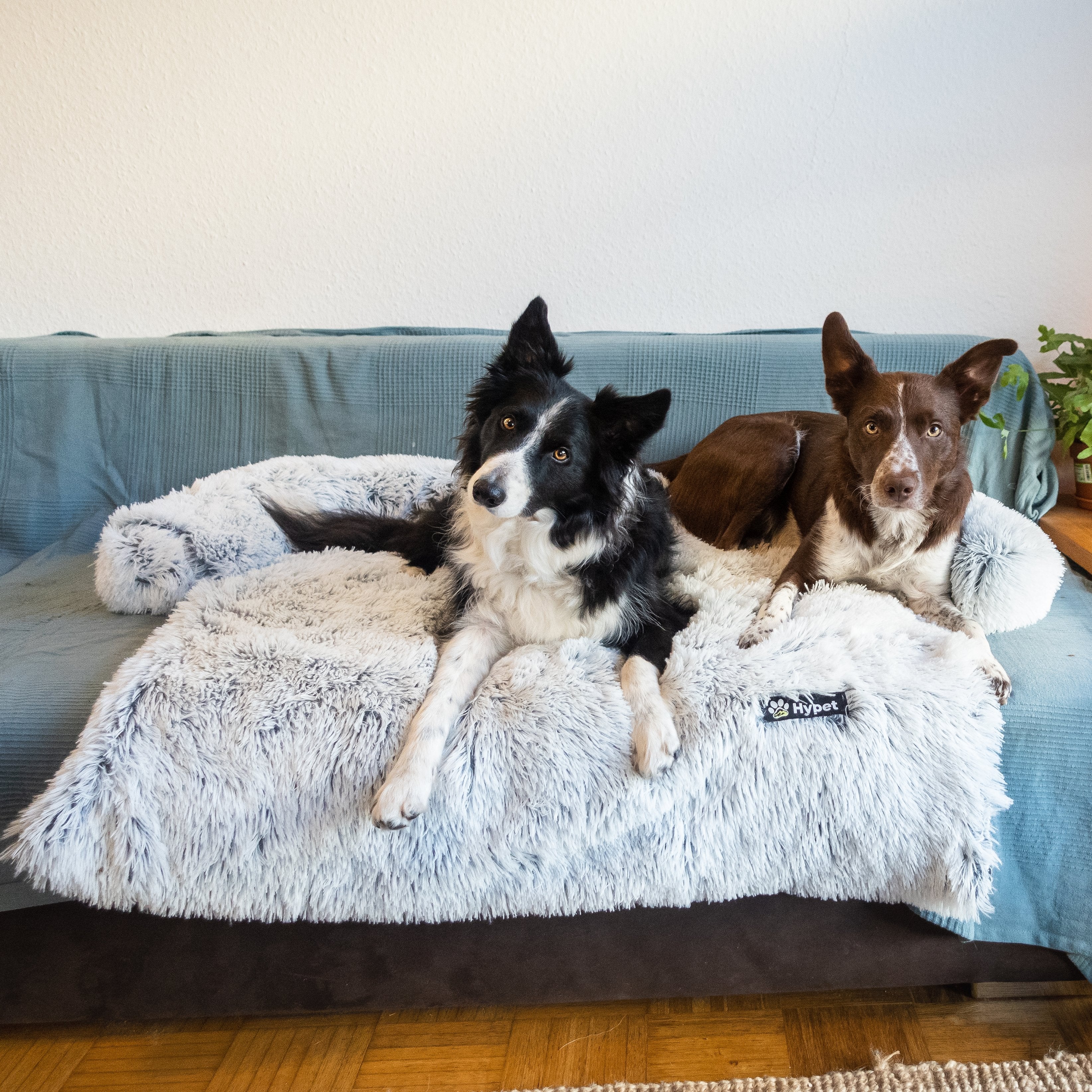 PawsyPillow | Wasbaar, warm en waterdicht herfstkussen voor je hond