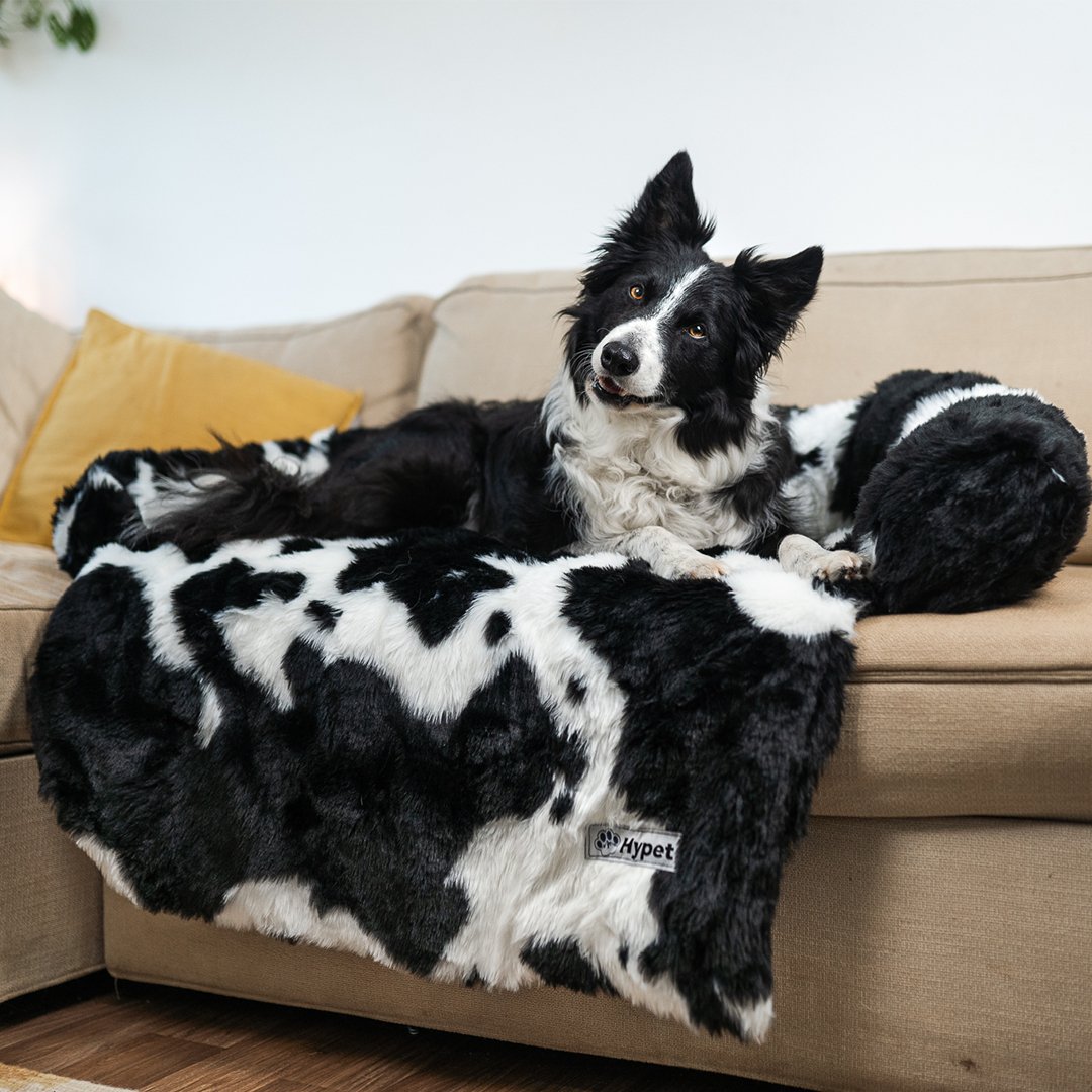 PawsyPillow | Wasbaar, warm en waterdicht herfstkussen voor je hond