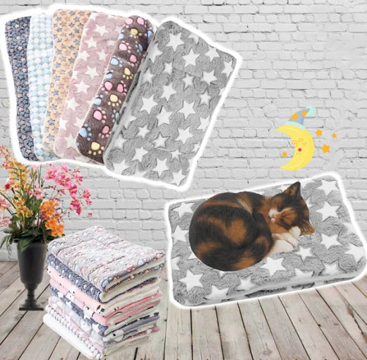 Ultra Zachte Kattendeken – Gezellige Flanellen Deken met Katten, Hypoallergeen en Machinewasbaar, Perfect voor Alle Katten