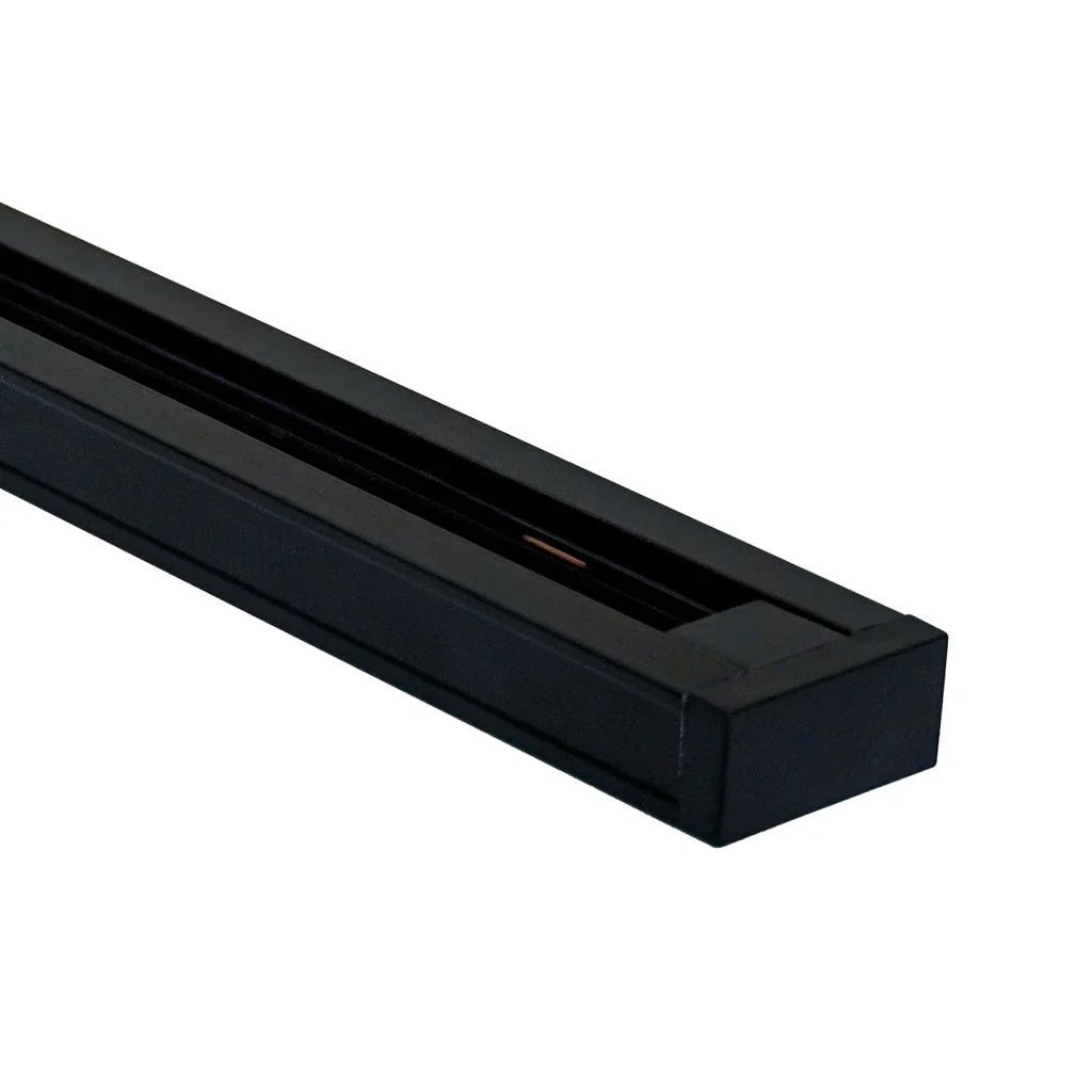 Morris Rotatable Movable Ceiling Rail voor Hanglamp