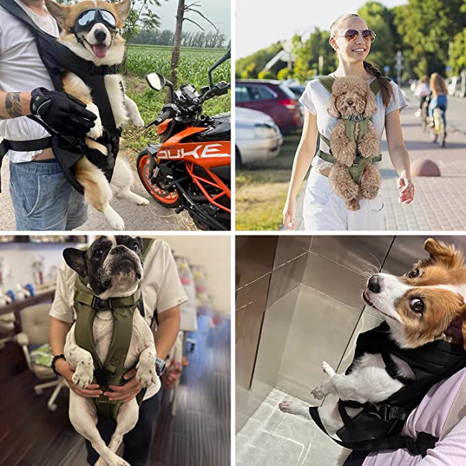 Petcarry - Handsfree Hondendrager Rugzak voor Comfortabele Reizen & Gemakkelijke Mobiliteit