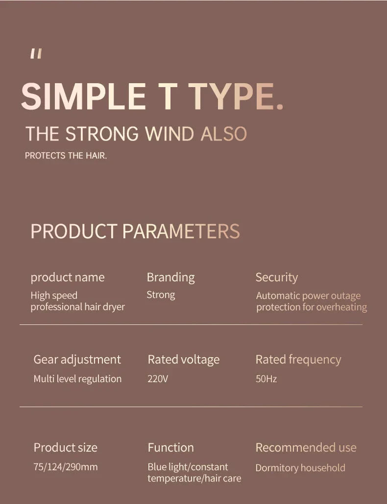 2400W Hochleistungs-Haartrockner mit Kalt- und Warmeluft Ionentechnologie