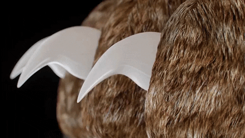 PawGuard Pro Nagelknippers Met Slimme Sensor Technologie