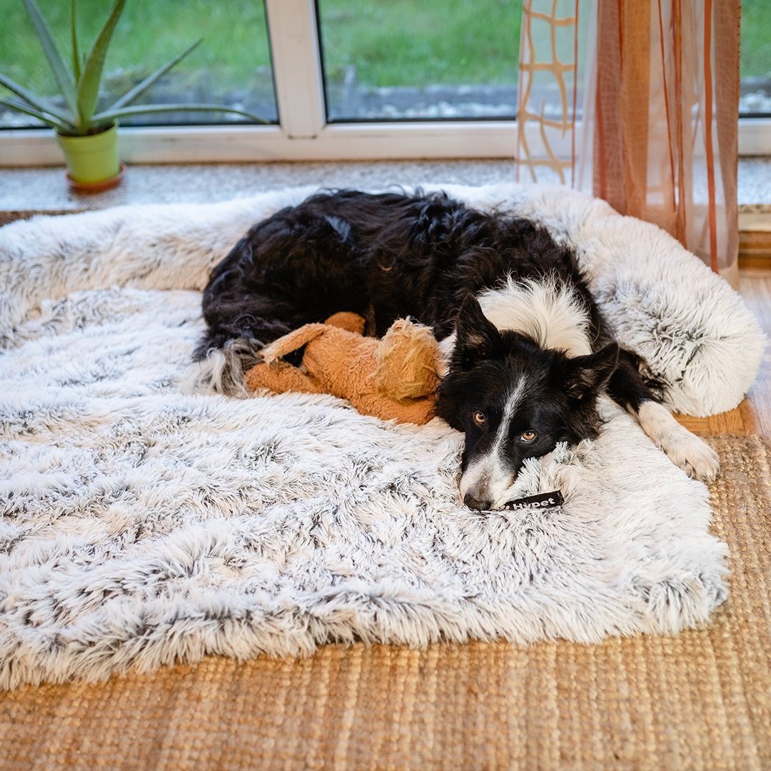 PawsyPillow | Wasbaar, warm en waterdicht herfstkussen voor je hond