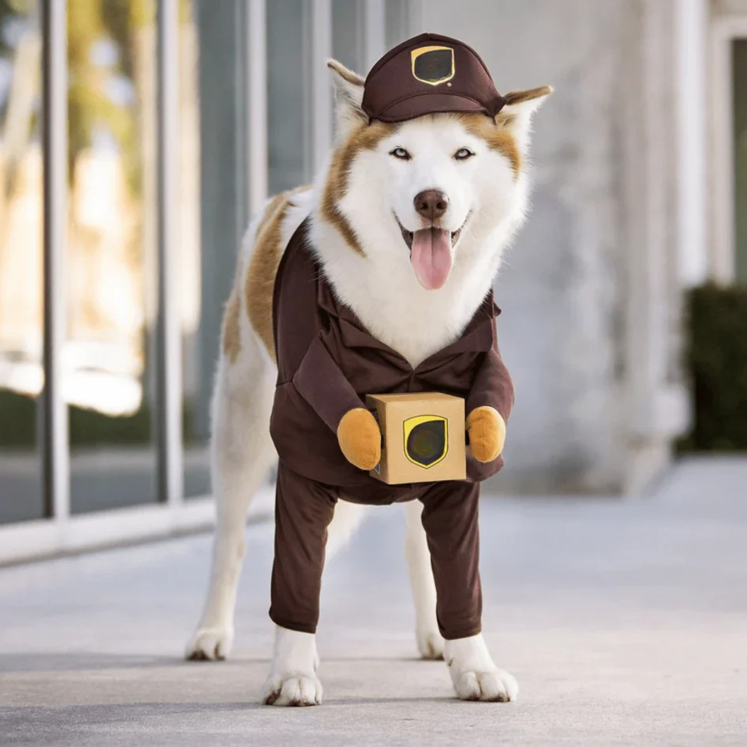 Halloween Hondenkostuum Bezorgoutfit