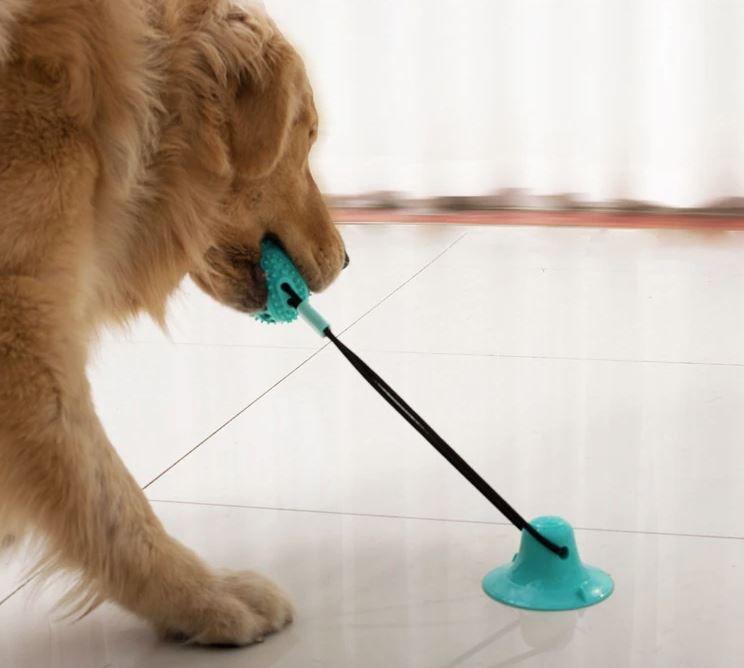LuxePaw™ TugToy | Versterkt de band tussen jou en je huisdier