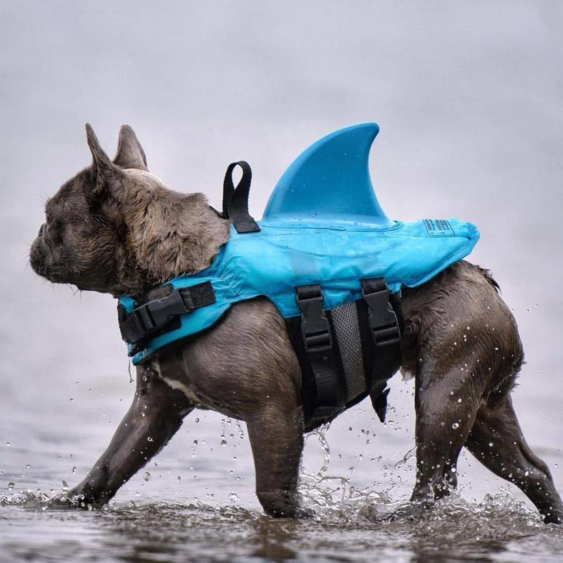 FloatiFur – Het zwemvest voor blije honden!