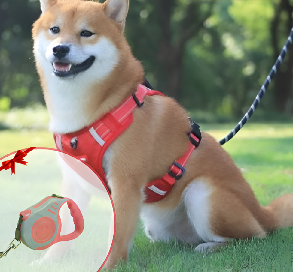 PawEase Soft Hondentuig | Comfort, Veiligheid en Controle