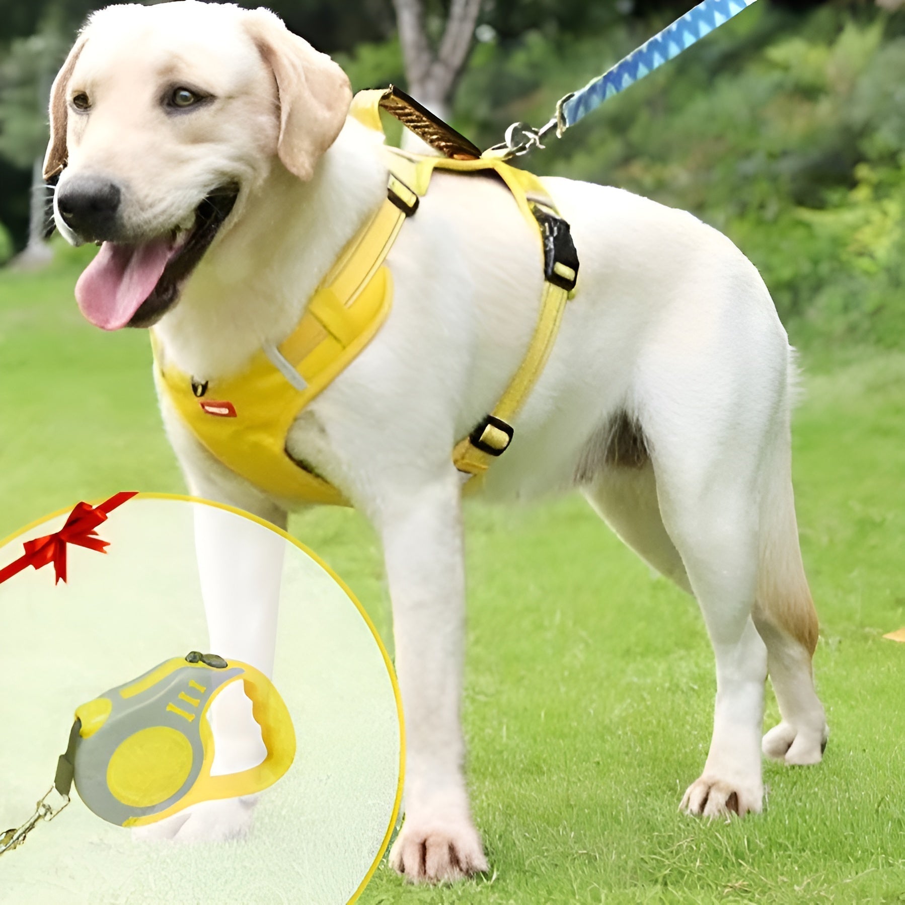 PawEase Soft Hondentuig | Comfort, Veiligheid en Controle