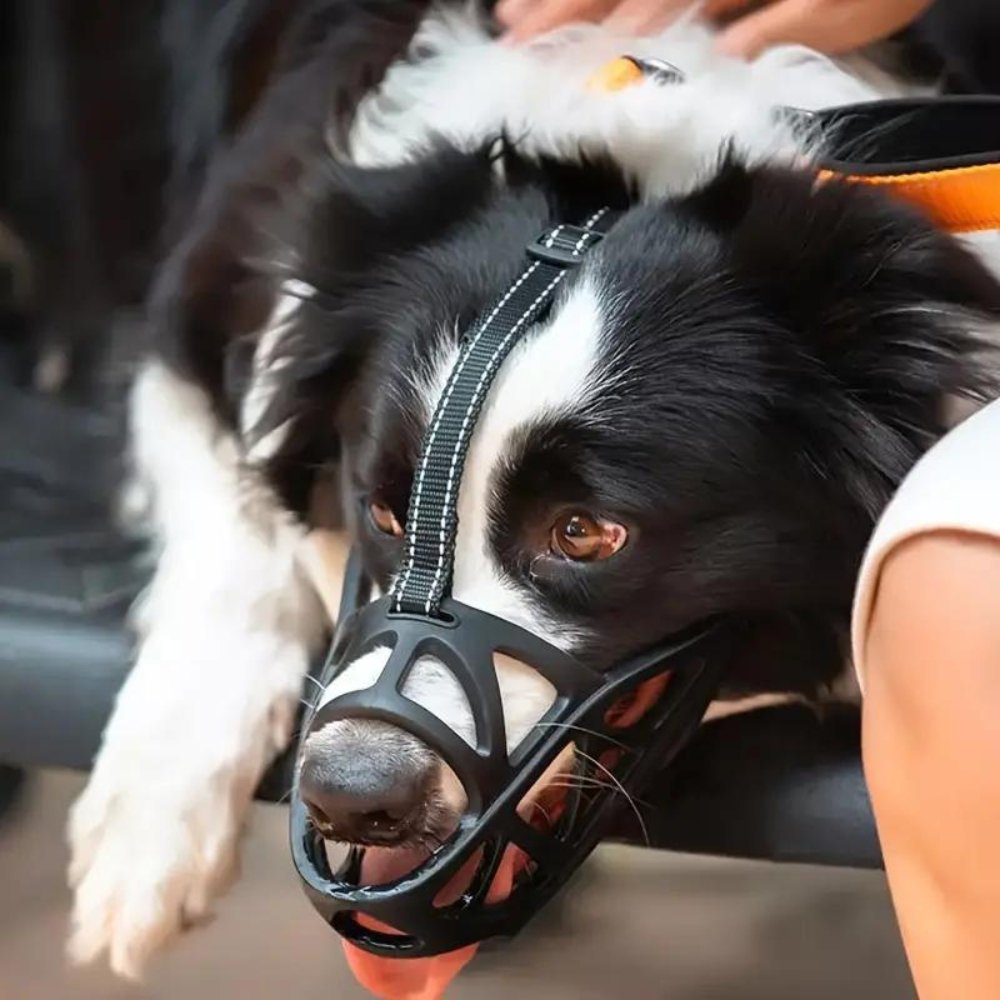 SafeBark • Muilkorf voor Honden