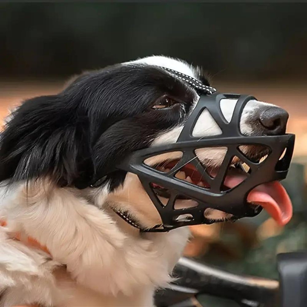 SafeBark • Muilkorf voor Honden