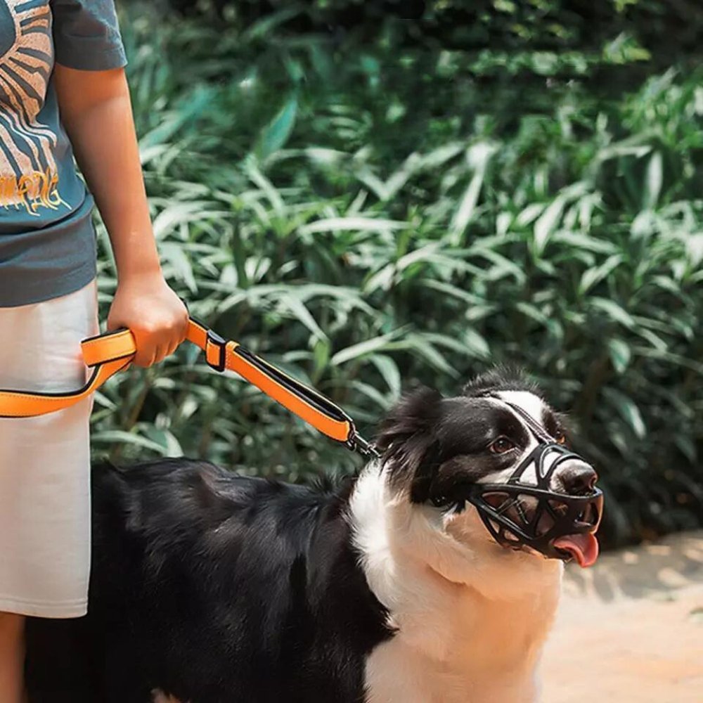 SafeBark • Muilkorf voor Honden