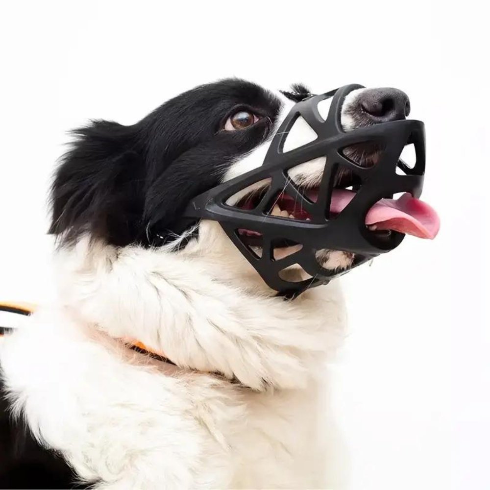 SafeBark • Muilkorf voor Honden