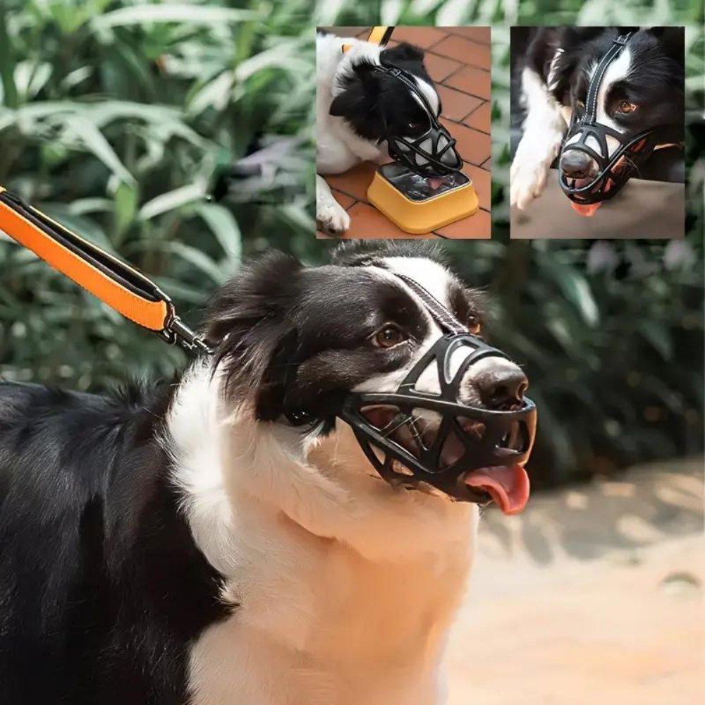 SafeBark • Muilkorf voor Honden