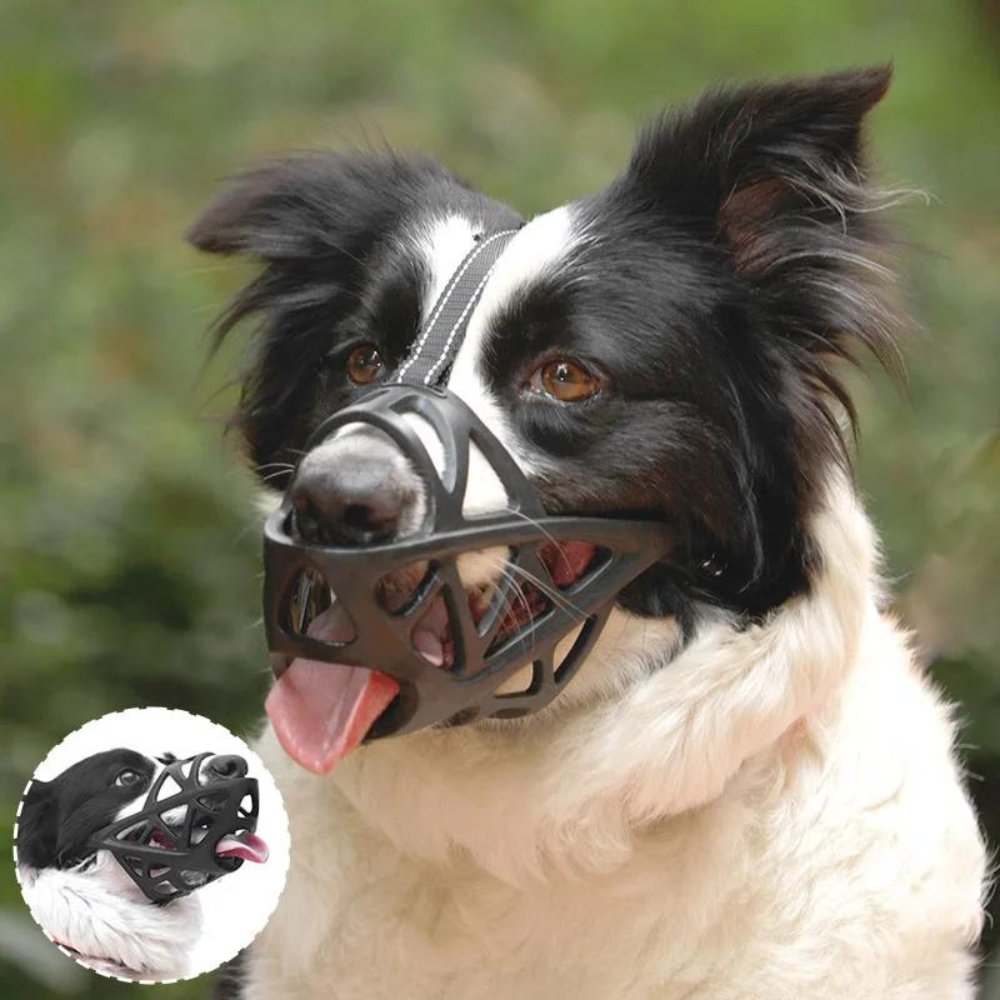 SafeBark • Muilkorf voor Honden