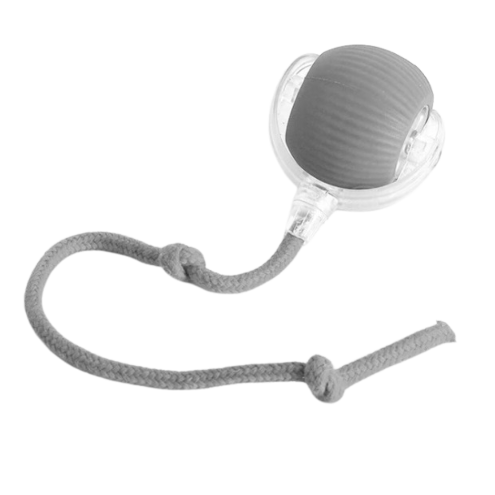 Slim Interactief Kattenbal Speelgoed