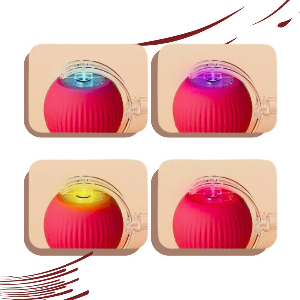 Slim Interactief Kattenbal Speelgoed