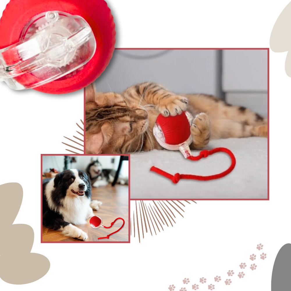 Slim Interactief Kattenbal Speelgoed