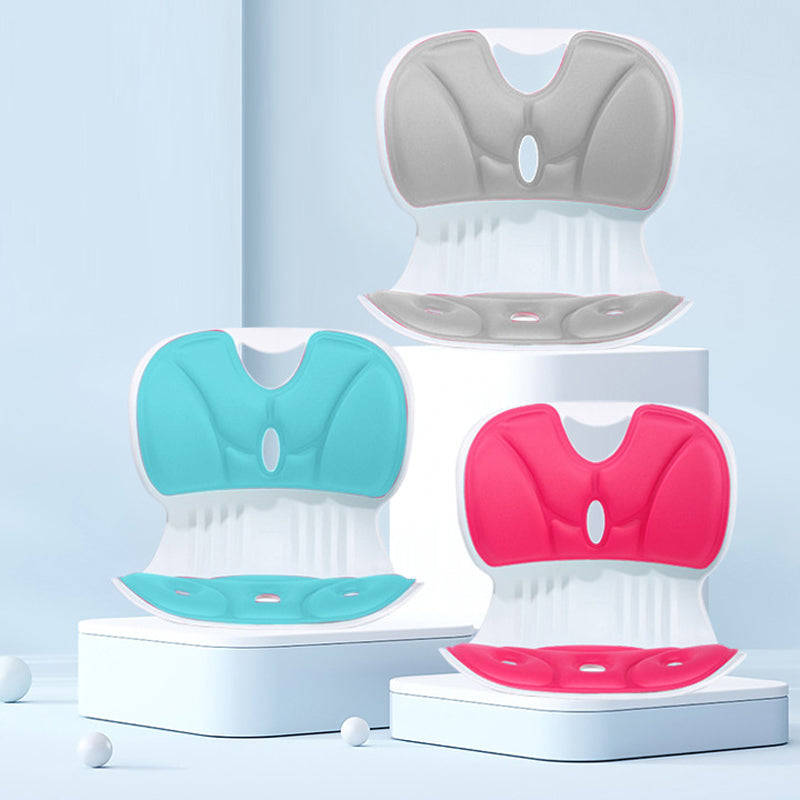 PostureAlign | Ergonomisch Lendensteun Kussen voor Bureaustoelen