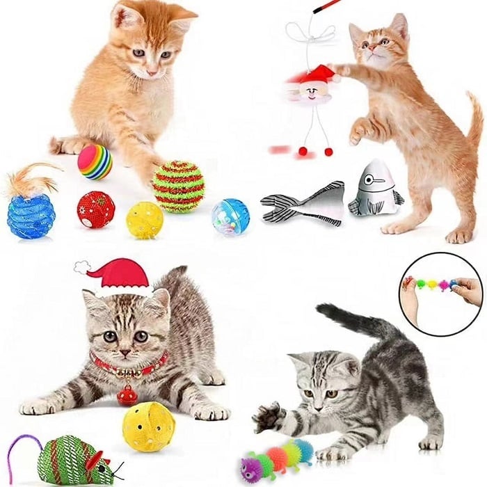 Pawfect | 2025 Aftel Adventskalender voor Katten en Honden