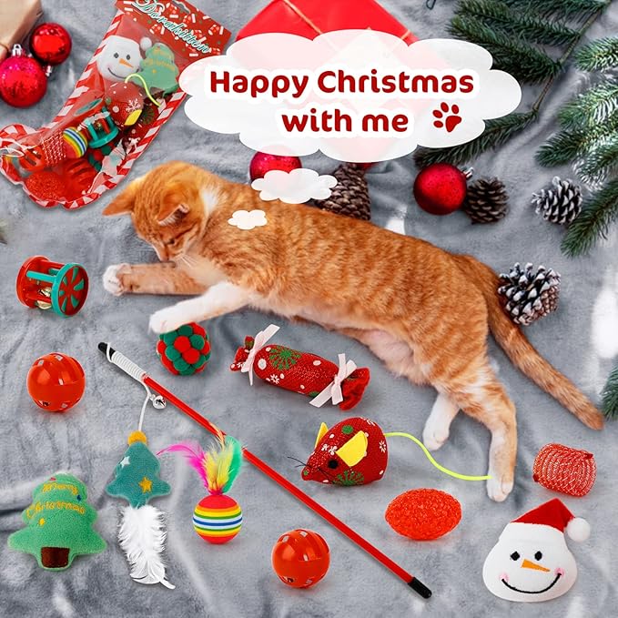 Pawfect | 2025 Aftel Adventskalender voor Katten en Honden