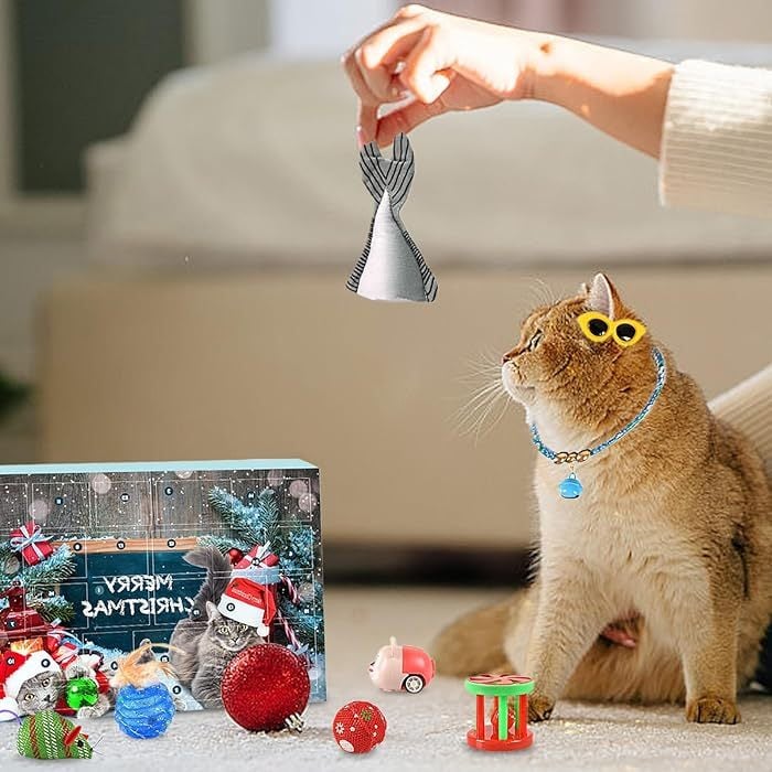 Pawfect | 2025 Aftel Adventskalender voor Katten en Honden