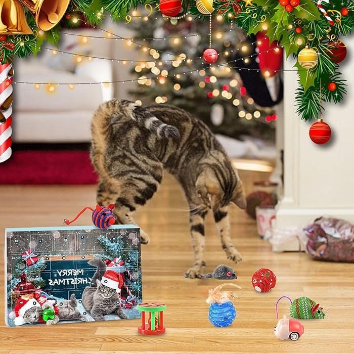 Pawfect | 2025 Aftel Adventskalender voor Katten en Honden