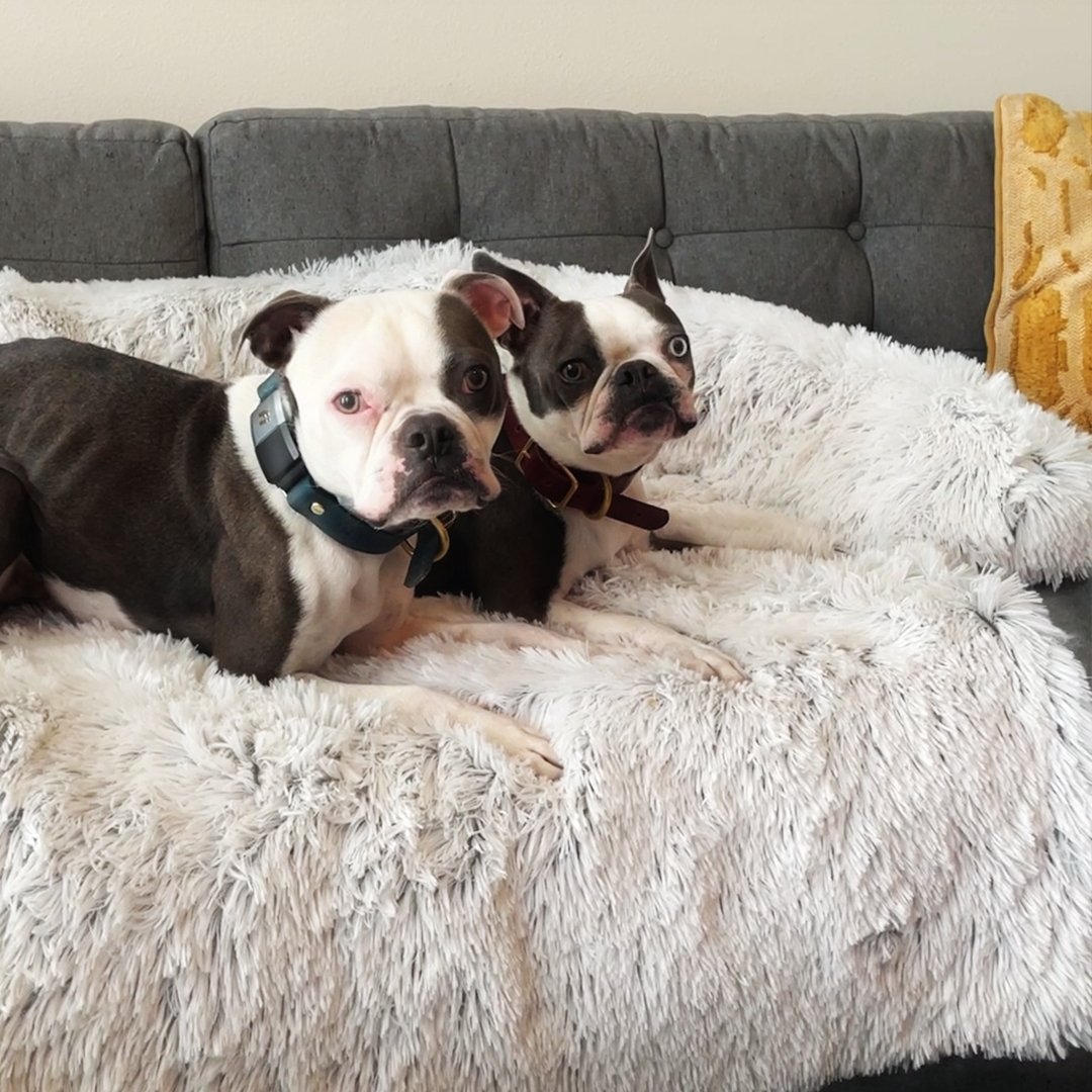 PawsyPillow | Wasbaar, warm en waterdicht herfstkussen voor je hond